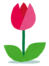 flower_tulip[1].png